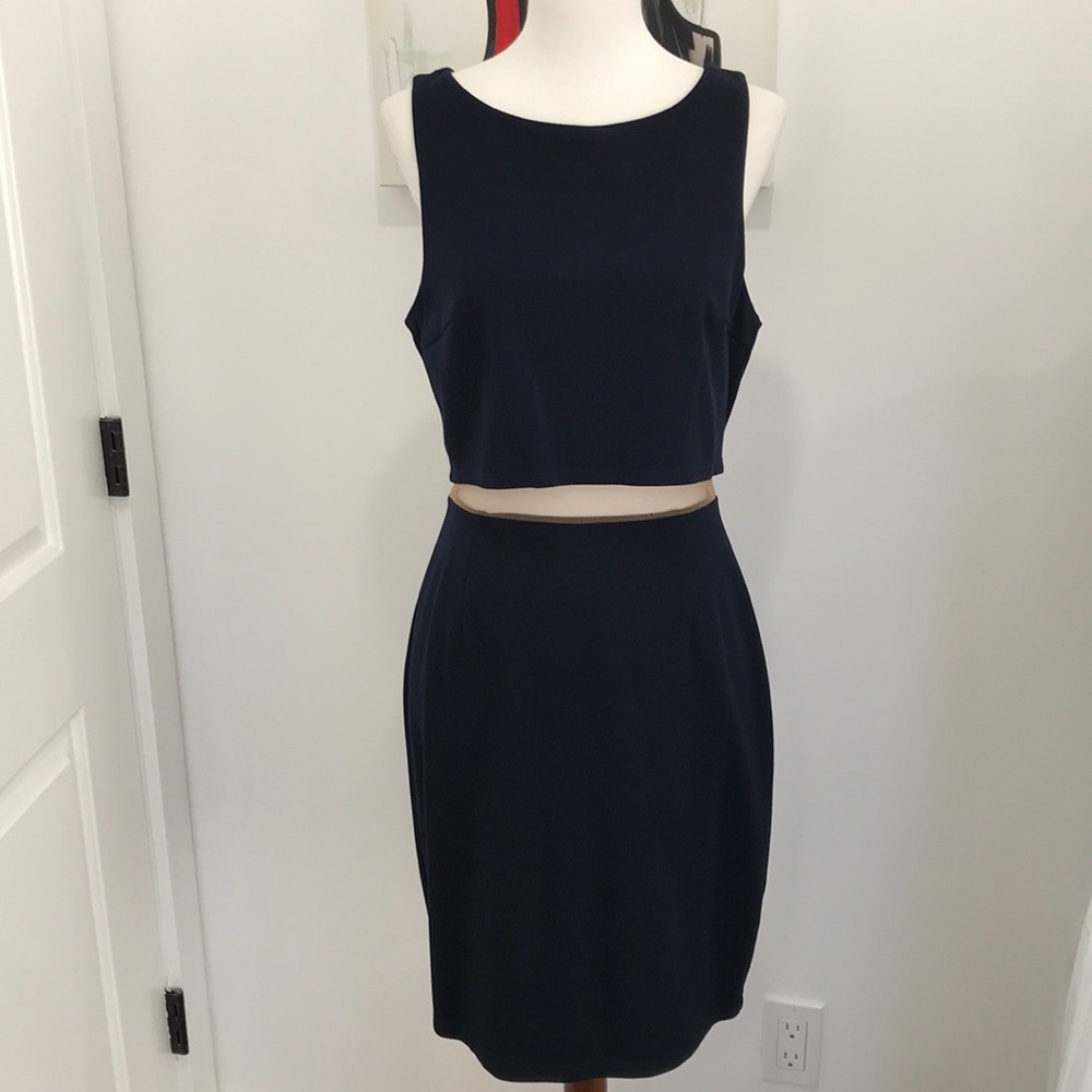 NWT Bailey 44 mesh midsection dress